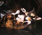 Deloris Hester's album, Profile Pictures