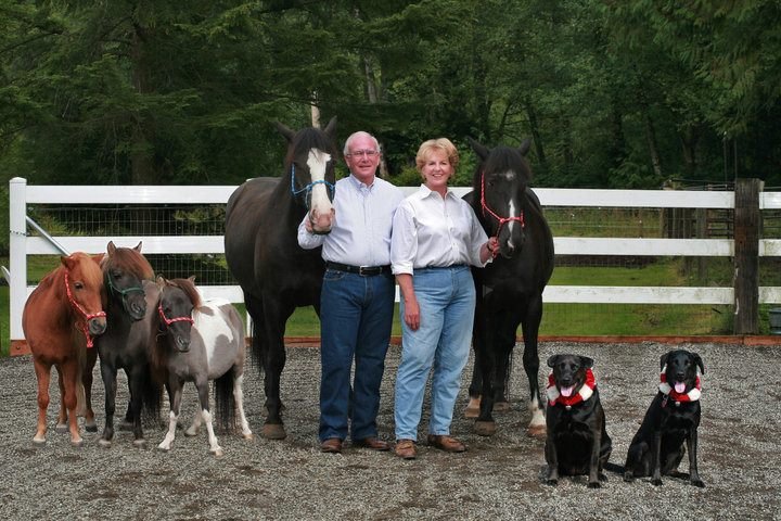 Sally Zoll's album, Profile Pictures