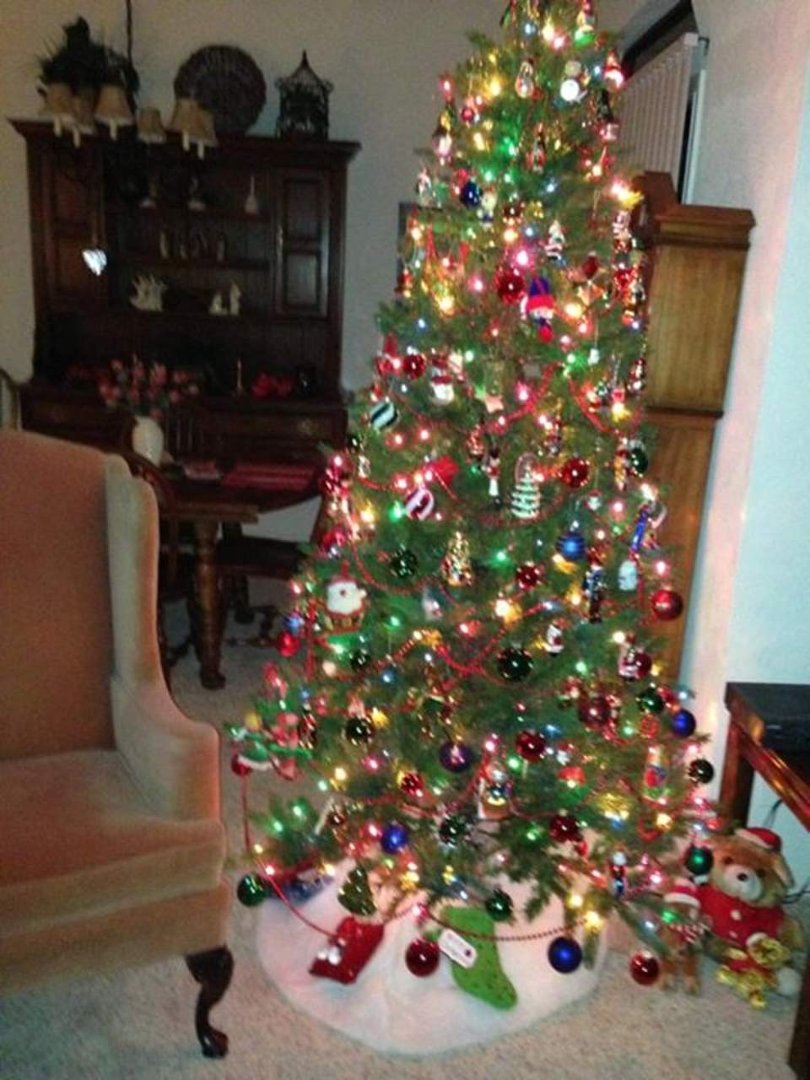 Sandra Bynum's album, Cover Photos