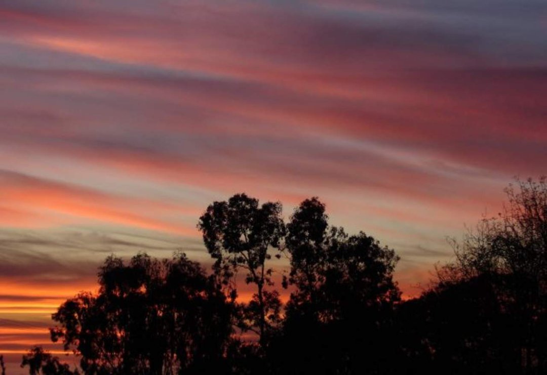 Mark Williams' album, Sunset on January 28th