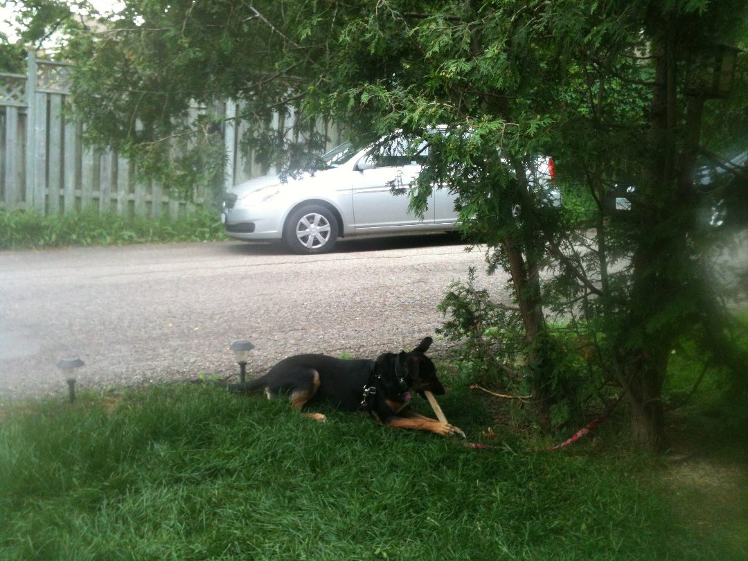 Lacey Techlowicz's album, June 2012