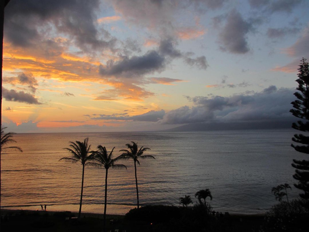 Terry Menter's album, Cover Photos