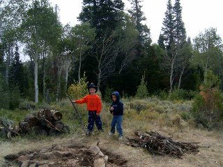Karen Garrett's album, Birthday camping