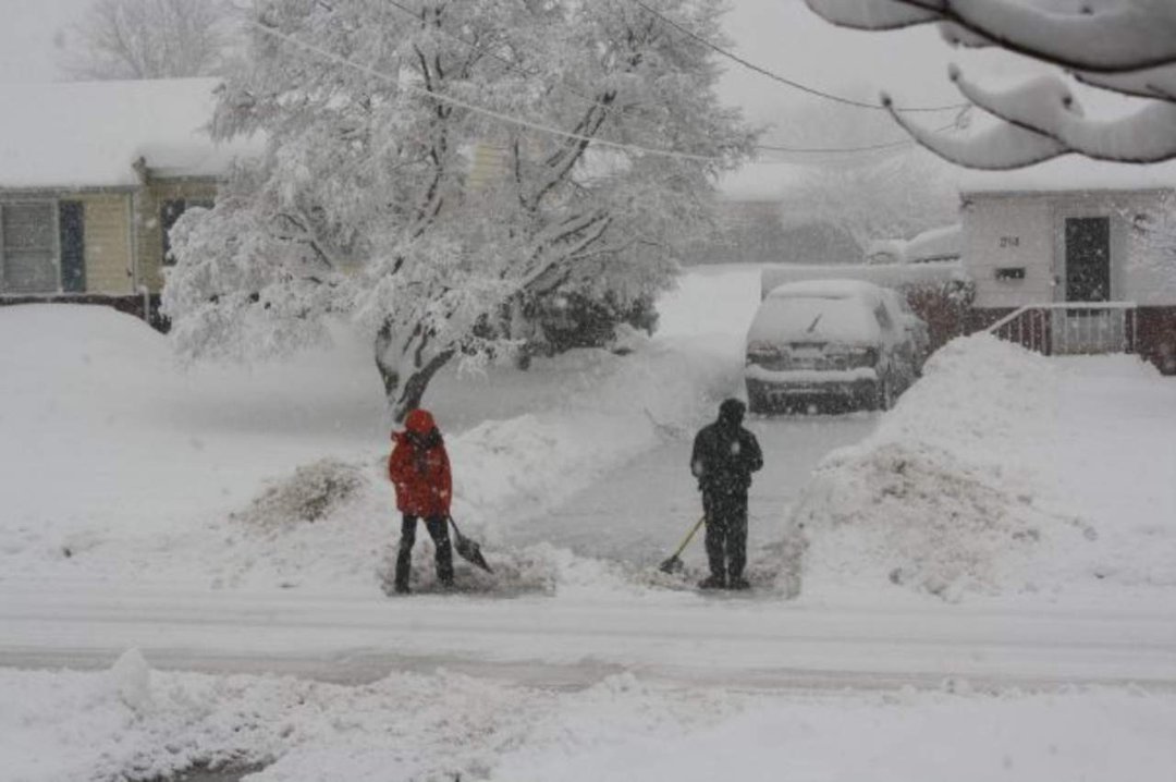 Brandy Krediet's album, The never ending winter