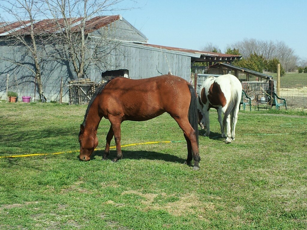Deb Stover's album, Mobile Uploads