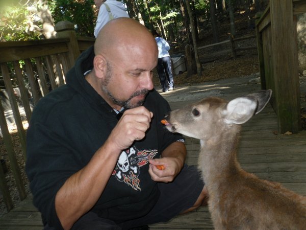 Jeff Delaney's album, Profile Pictures