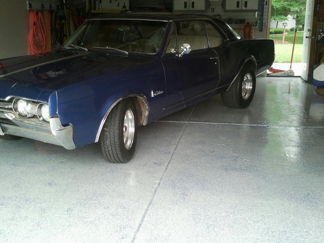 Steven Trevisan's album, Mobile Uploads