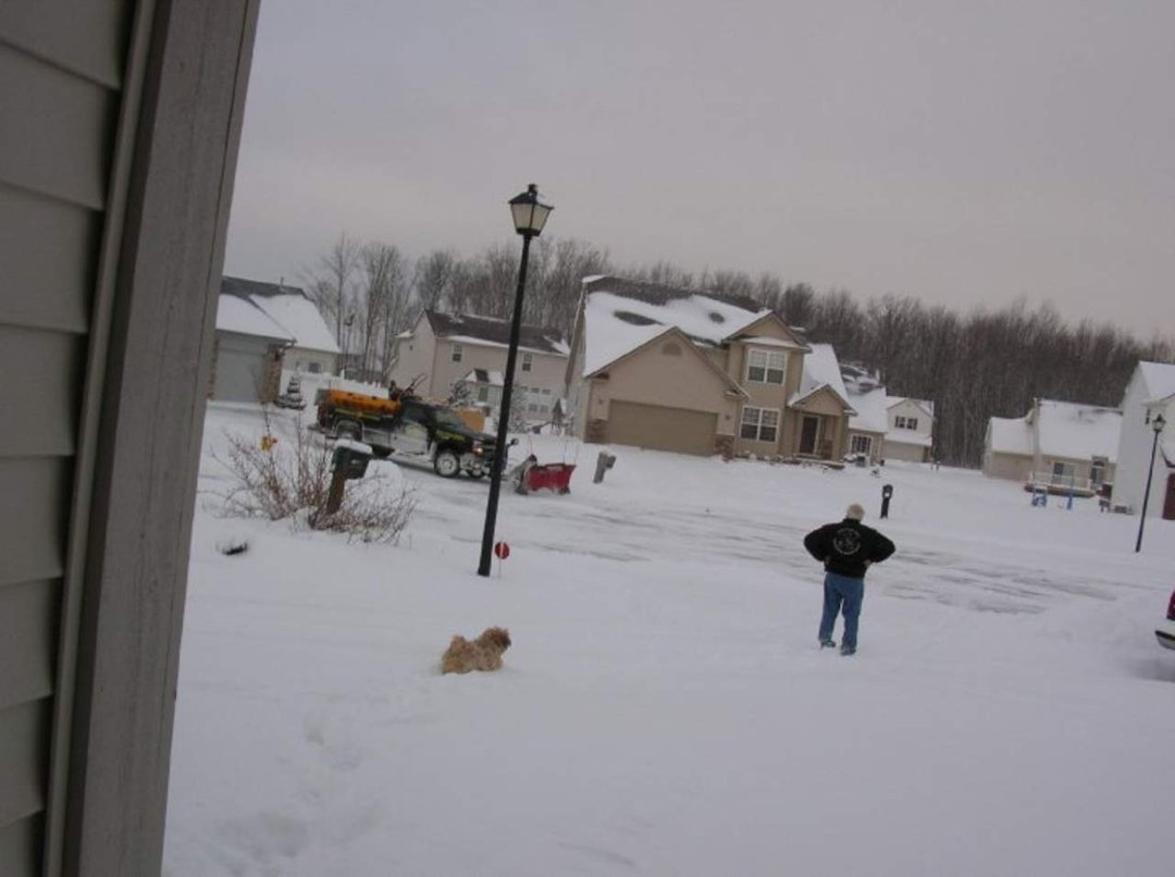 Bob Wilson's album, snow days