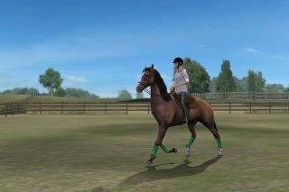 Lacey Techlowicz's album, My Horse Photos