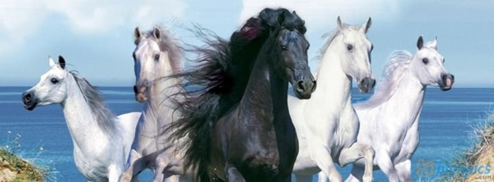 Coreen Murphy's album, Cover Photos