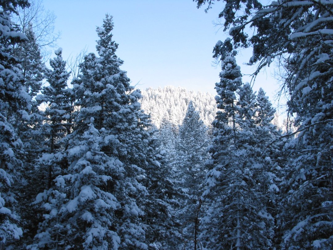 Jay Getman's album, SNOW Feb 2011