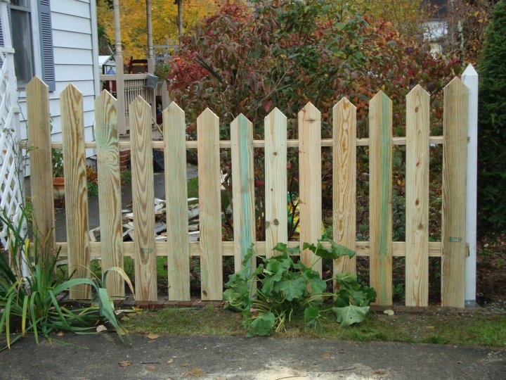 Roy Applegate's album, August 10, 2011
