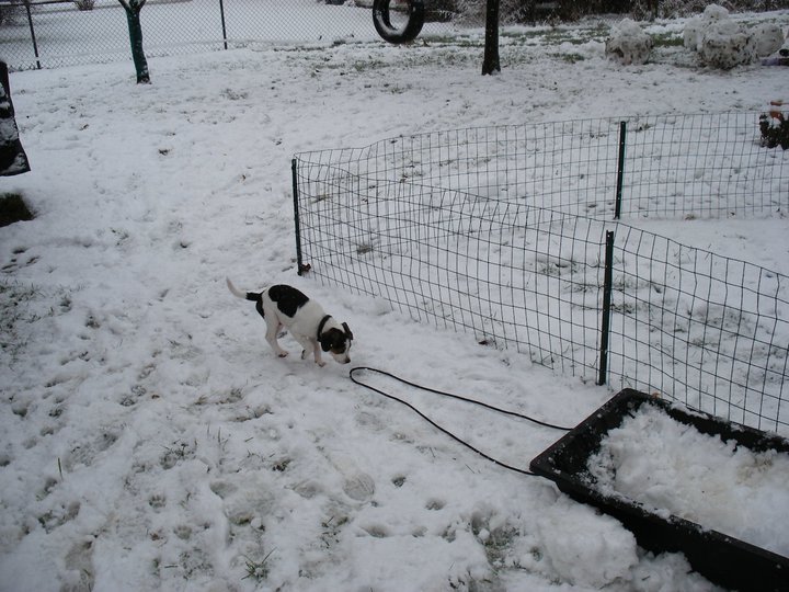 Patrick Brown's album, first "real" snow, 12/12/2010