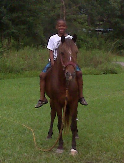 Kevin Webb's album, My Sons
