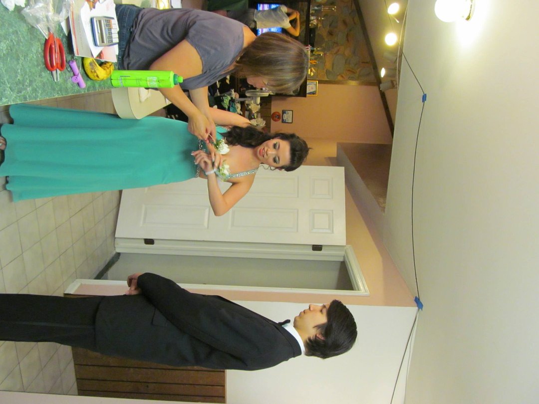 Paul Wheaton's album, Prom Night