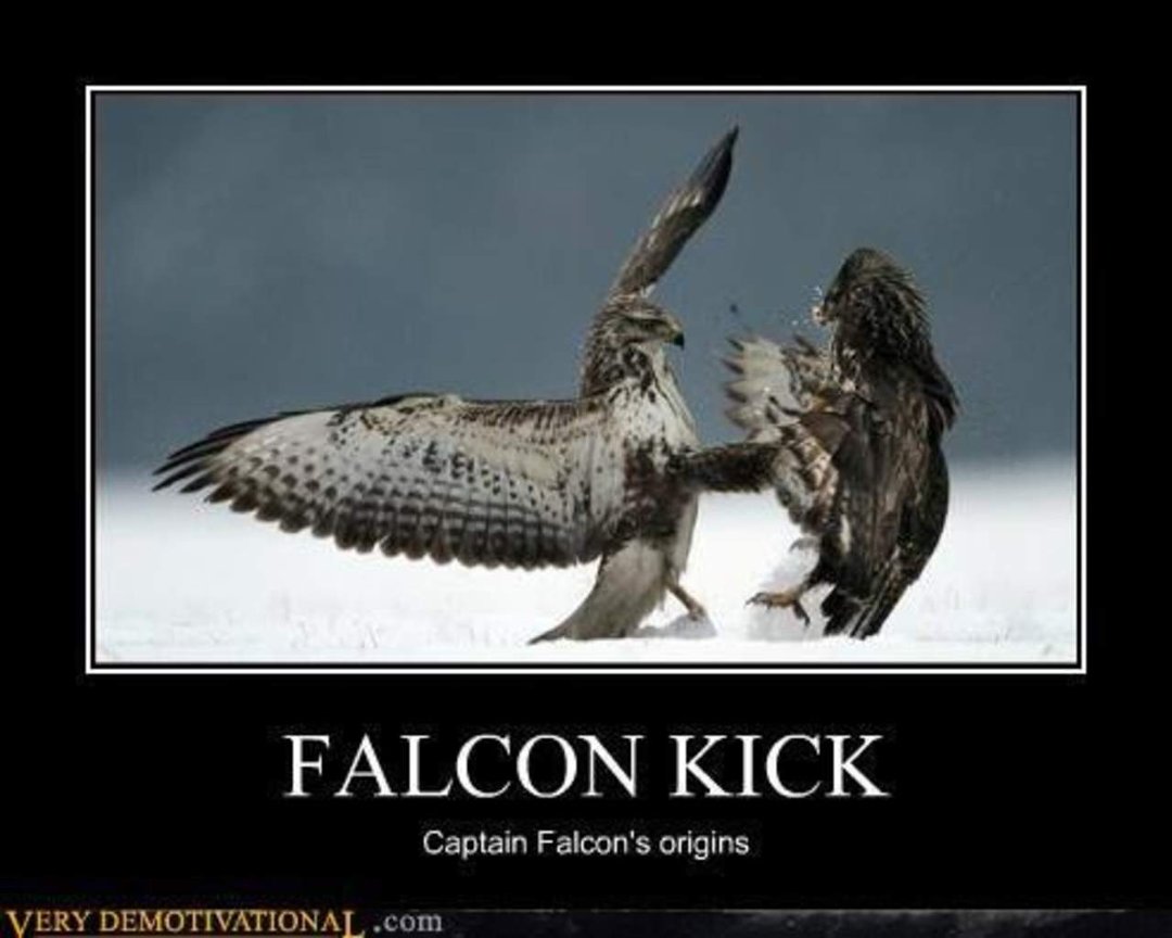 Prospect Bfmc's album, Demotivational Posters for the mature.