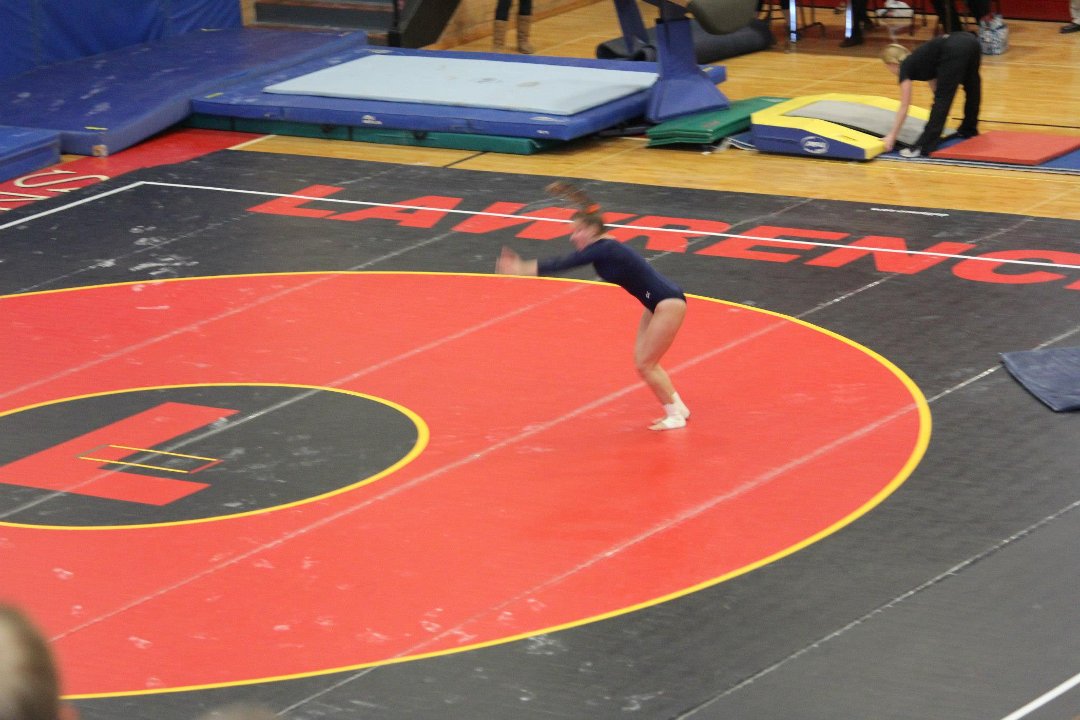 Mike Mann's album, State Gymnastics