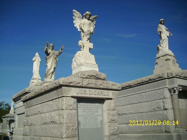 lyn sheridan's album, New Orleans/Mayan Ruins 2012