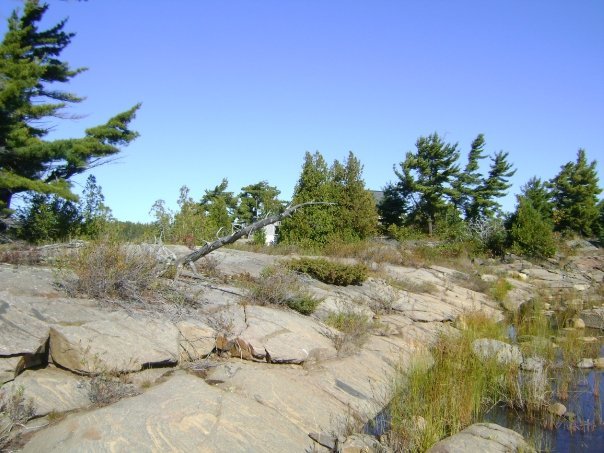 Larry Robichaud's album, Last Weekend @Machine gun Island