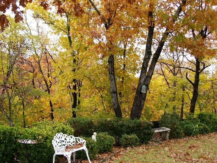 Terry Clark's album, Fall at the Clark house