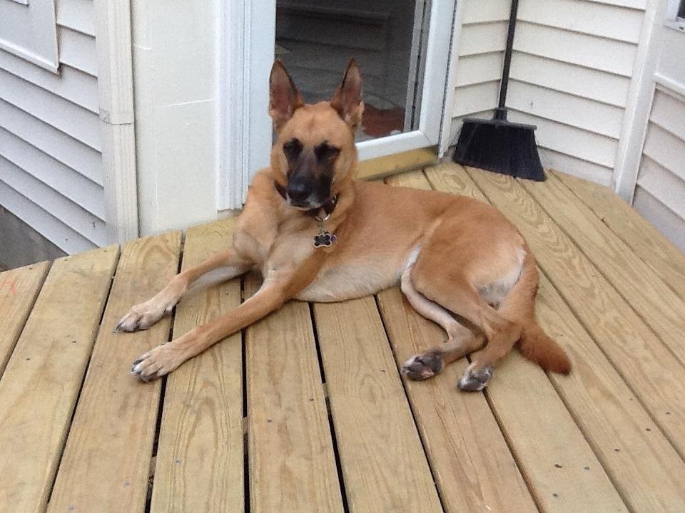 Patty Lowe's album, Mobile Uploads