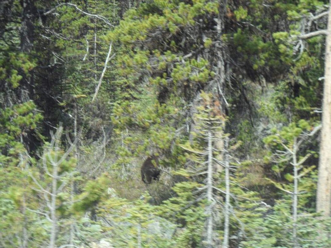 Jane Bedard's album, Alaska