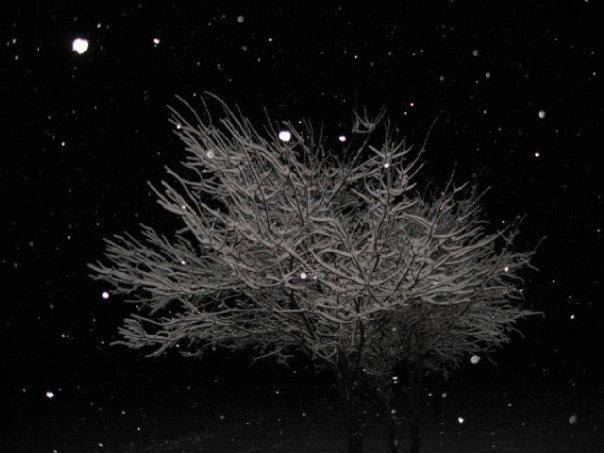 Jane Adams' album, Snowy Day 1-11-10