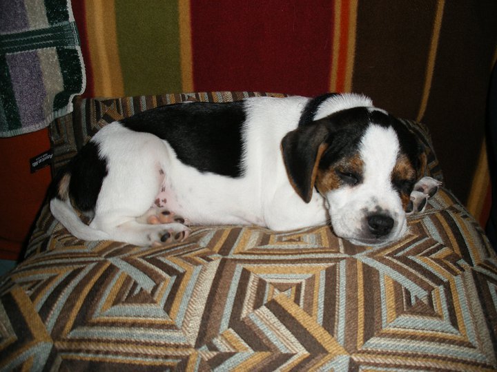 Patrick Brown's album, Meet Kirby!
