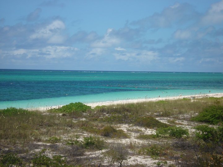 Lee Narwold's album, Turks & Caicos 2010