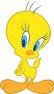 Kitty Maddocks' album, Profile Pictures