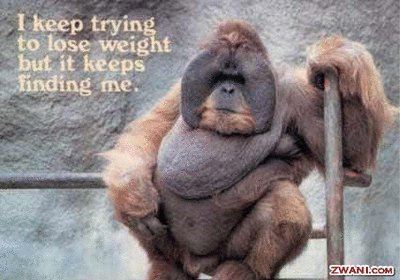 Chrystal Smith's album, Cover Photos