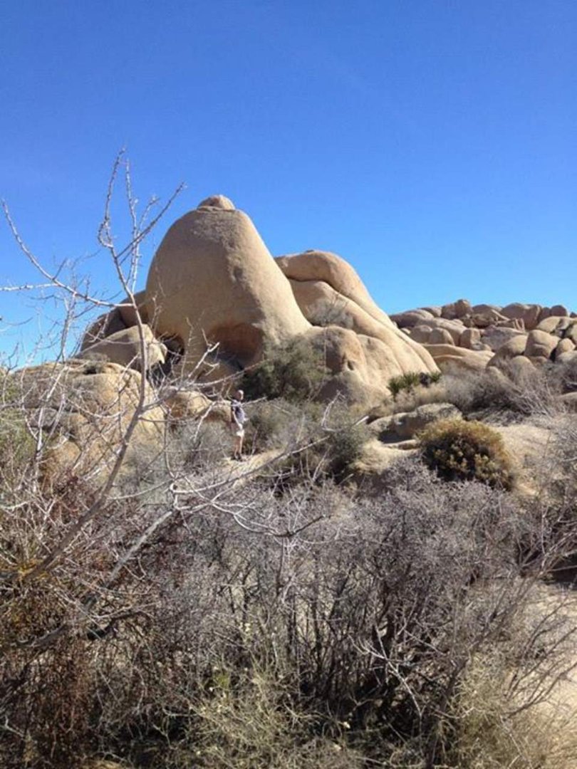 Fran Brown's album, Trip to San Diego and Deserts