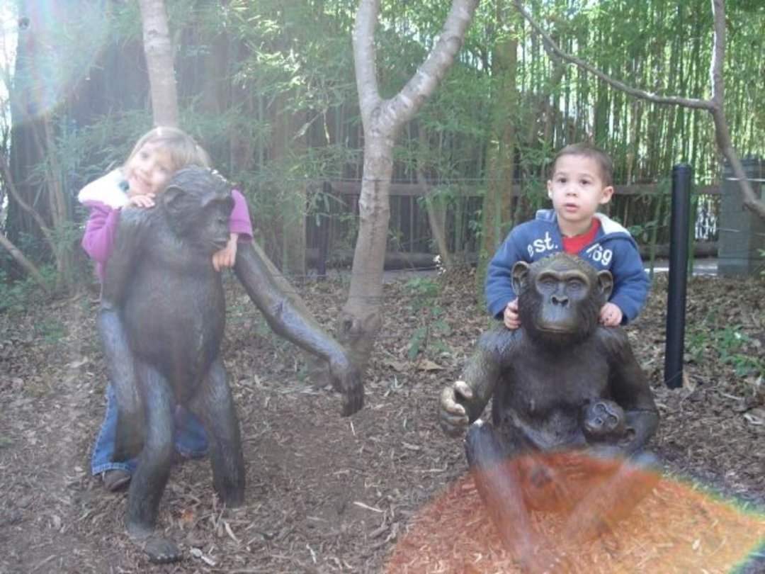 Tony Irizarry's album, Dalllas Zoo
