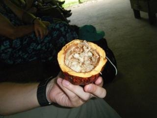 Jean Bruce's album, Costa Rica
