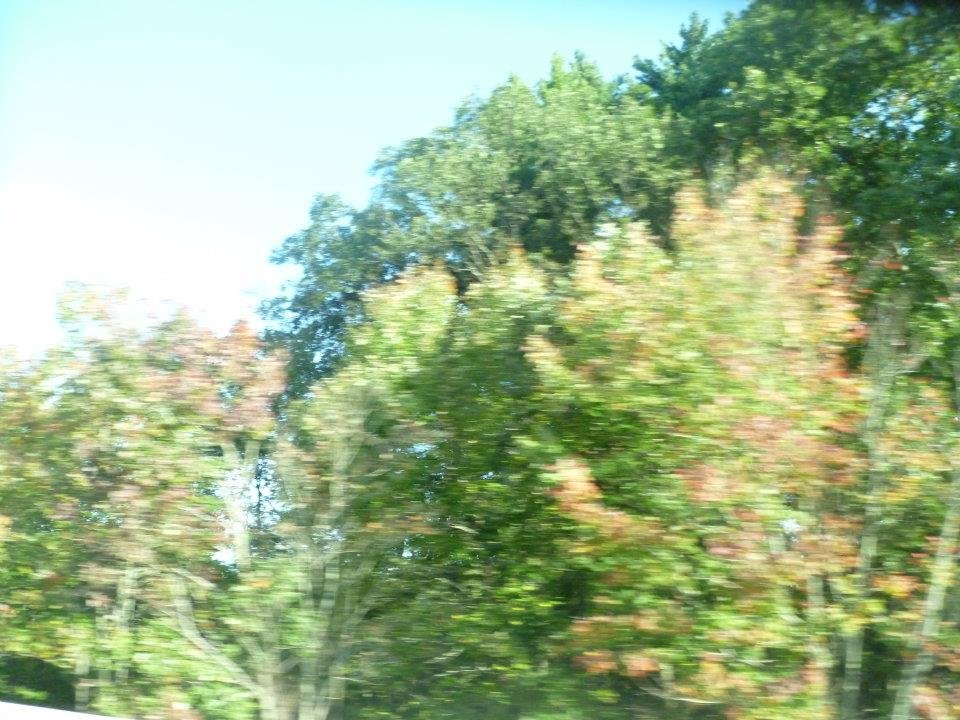 Virginia Bruce's album, Day 15 Boston NJ NY Delaware Maryland -October 5, 2011