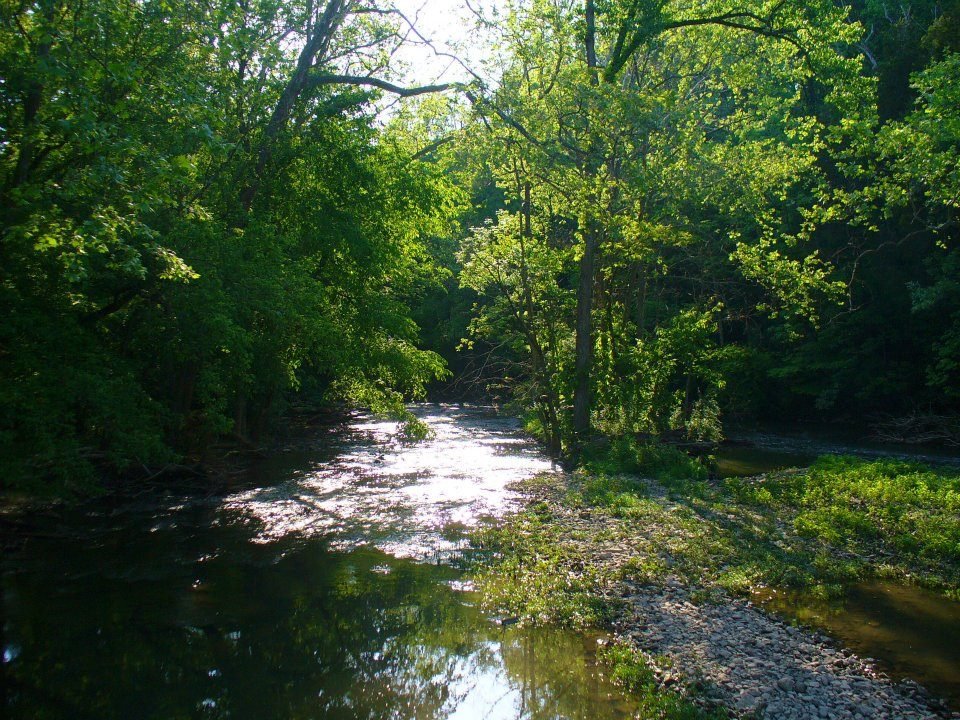 Jane Howard's album, John Bryan State Park, Clifton Gorge and Glen Helen