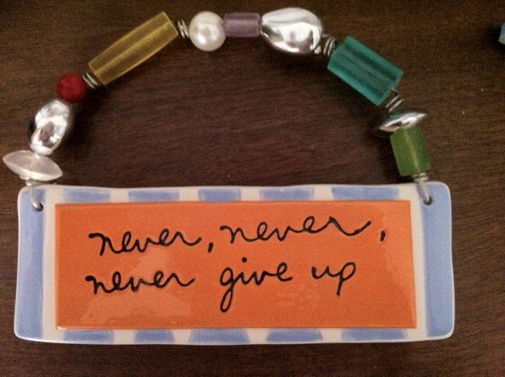 Becky Schiller's album, Mobile Uploads