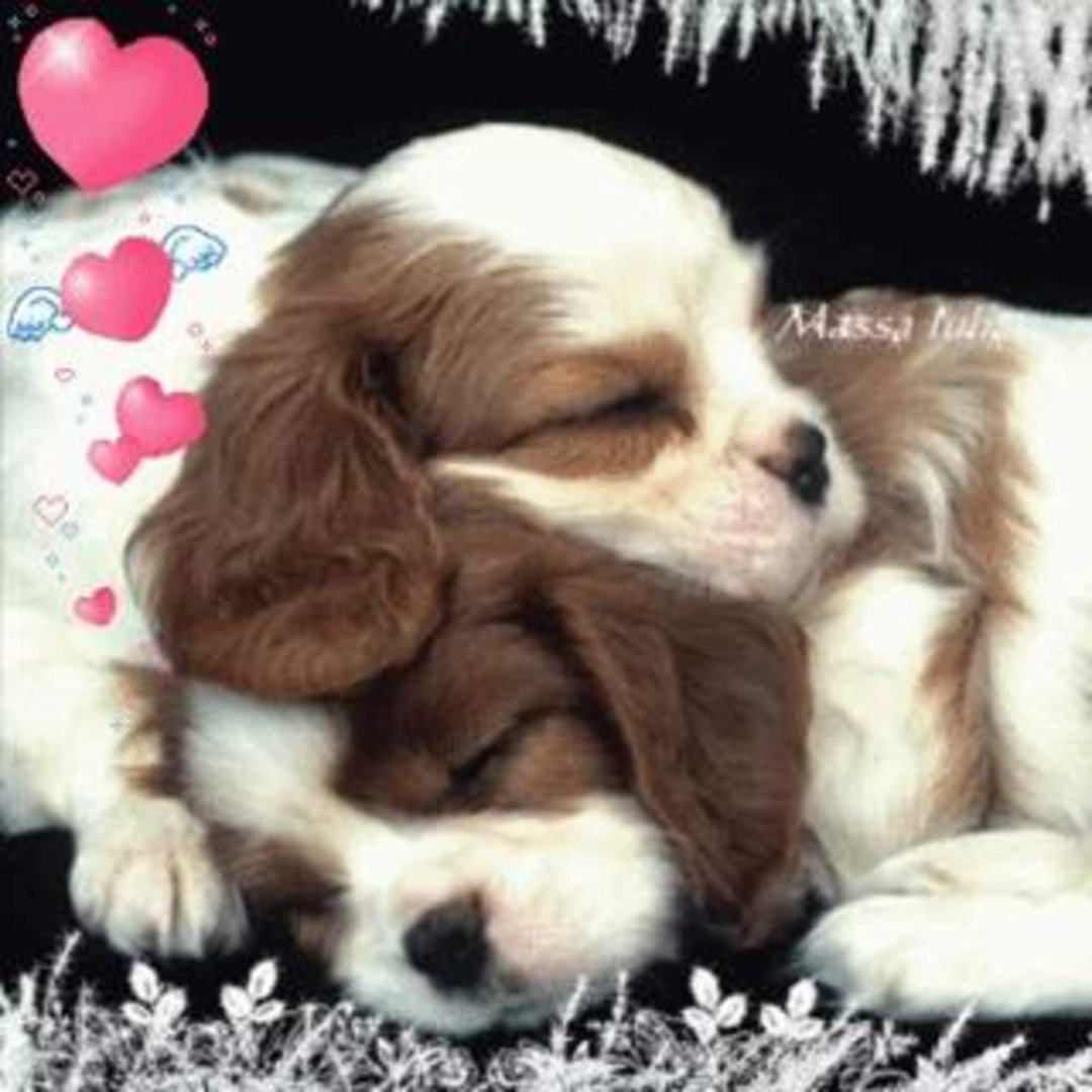 Sandy McPeak's album, ♥Best Friends♥Happy Winter Photos