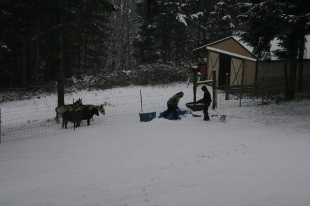 Jeffrey Eustis' album, snow!!