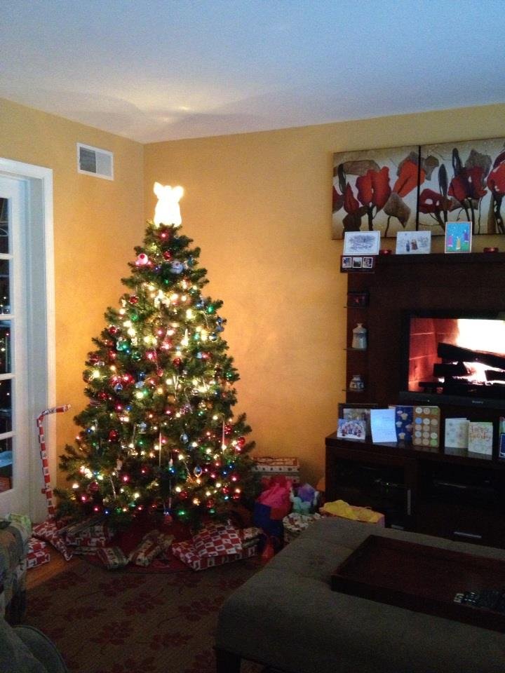 Robyn Cimerol's album, iOS Photos