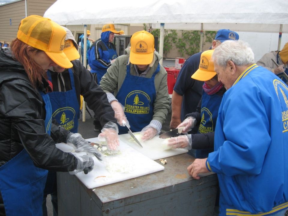 Mark Satin's album, Disaster Relief Training
