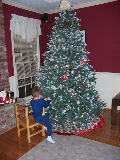 Amy Lewark's album, Christmas 2008