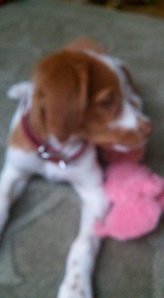 Gail Greil's album, Mobile Uploads