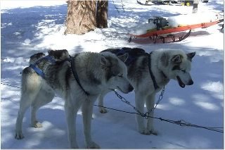Tracy Keeter's album, SnowMobiling