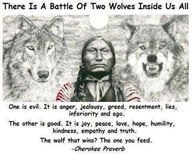 michael carlsen's album, Timeline Photos