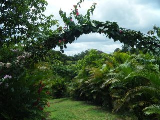 Jean Bruce's album, Costa Rica