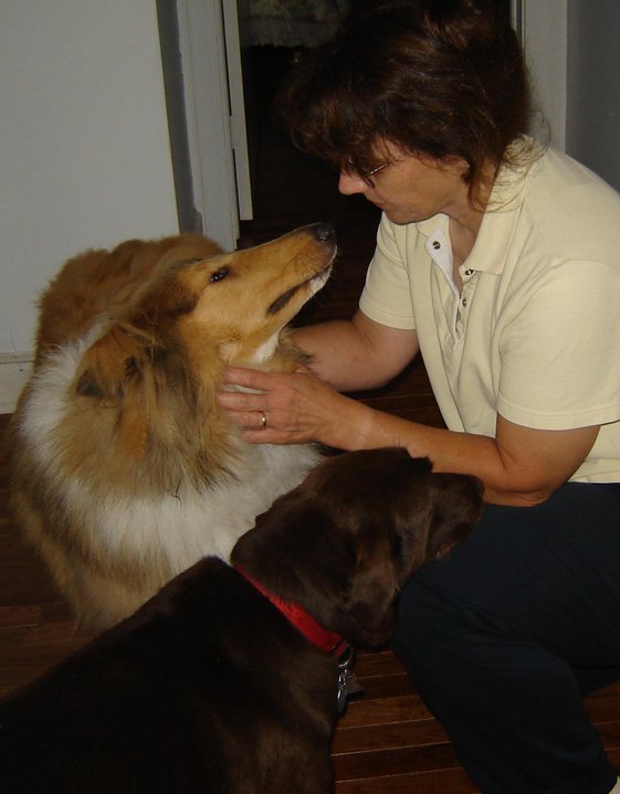 Kathy Focacci's album, Profile Pictures