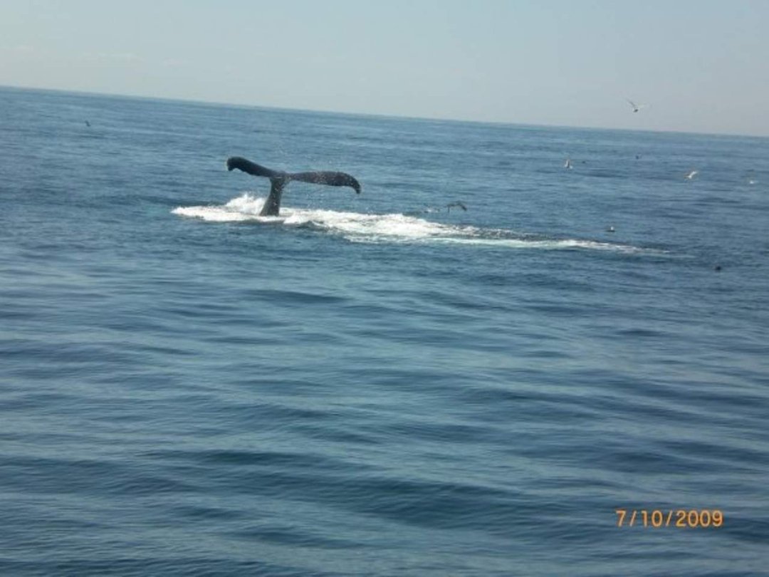 Cindy Conte's album, Cover Photos