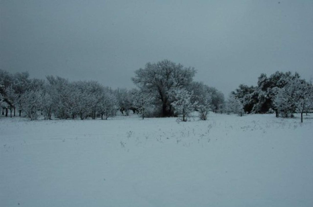 Jane Adams' album, Snowy Day 1-11-10