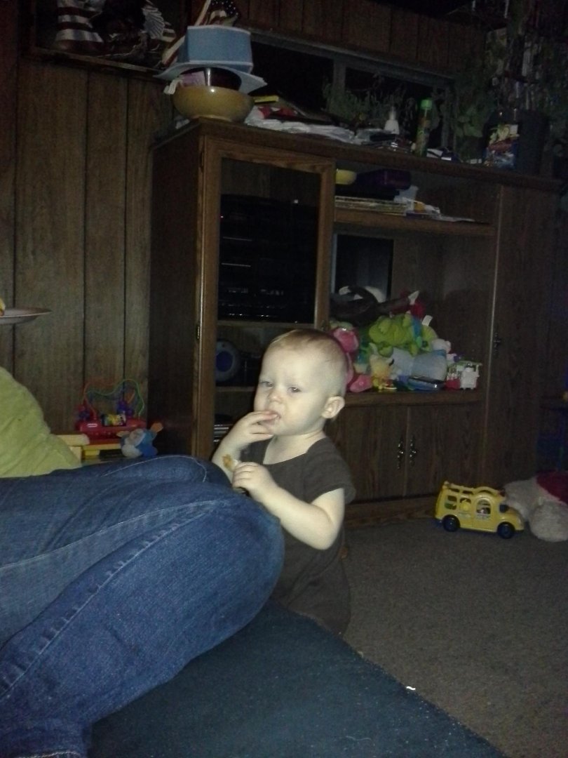 Lisa Stepp's album, Mobile Uploads